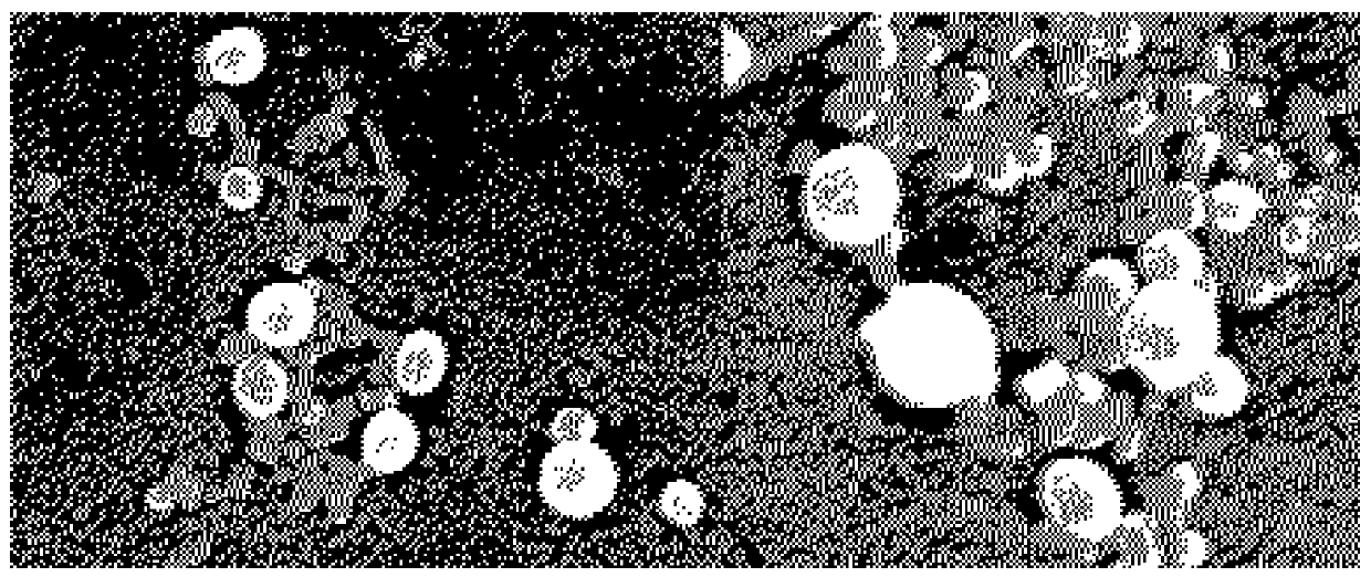 A preparation method of bovine serum albumin-fenoxycarb nano-medicine for preventing and treating groove-orbital phenomenon