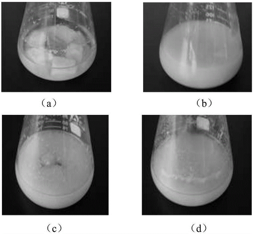 Method for degrading malachite green by using bacterial cellulose membrane-immobilized phanerochaete chrysosporium