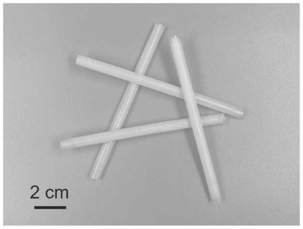 Bacterial cellulose-based edible straw and preparation method thereof