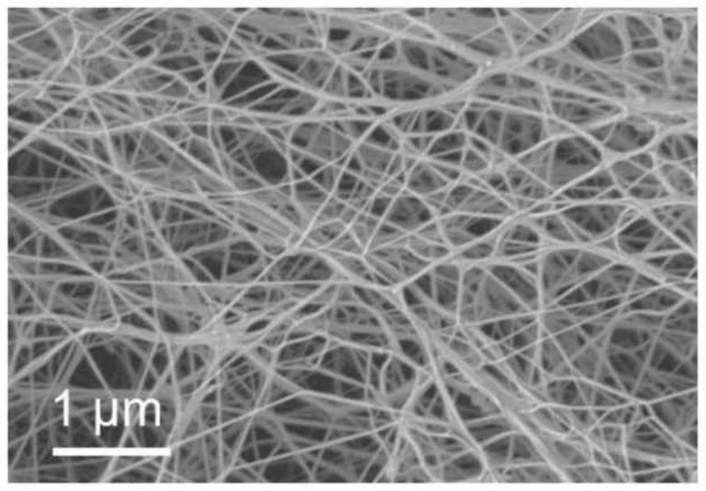 Bacterial cellulose-based edible straw and preparation method thereof