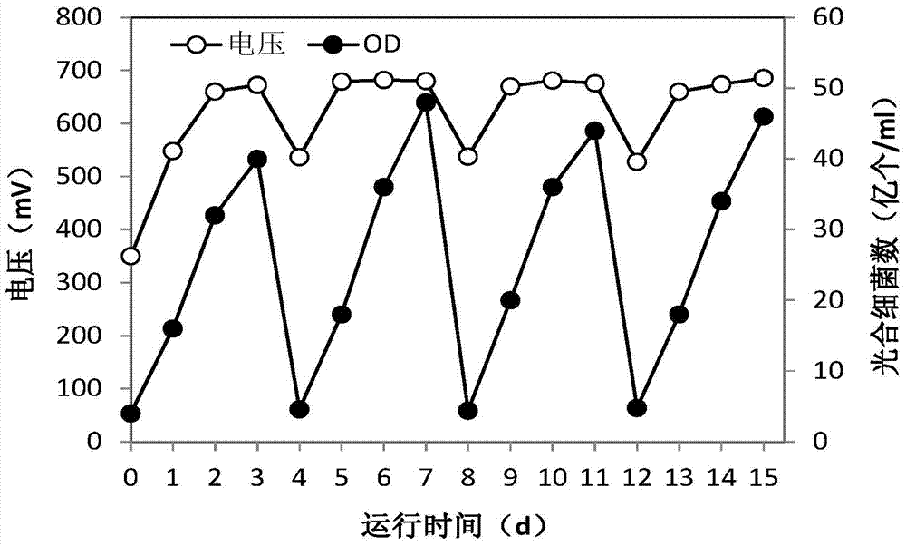 Method and device for cultivating high-concentration photosynthetic bacteria with low illumination