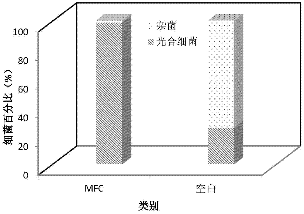 Method and device for cultivating high-concentration photosynthetic bacteria with low illumination