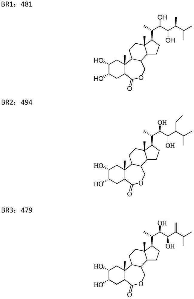 Plant growth regulator and applications thereof