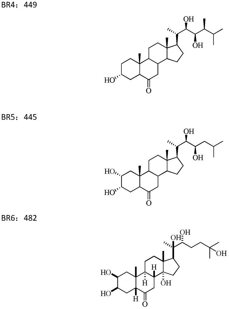 Plant growth regulator and applications thereof