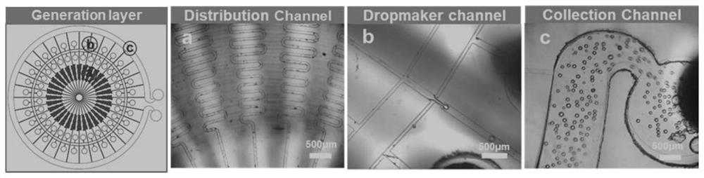 Tissue engineering scaffold assembled by cell-loaded microgel as well as preparation method and application thereof