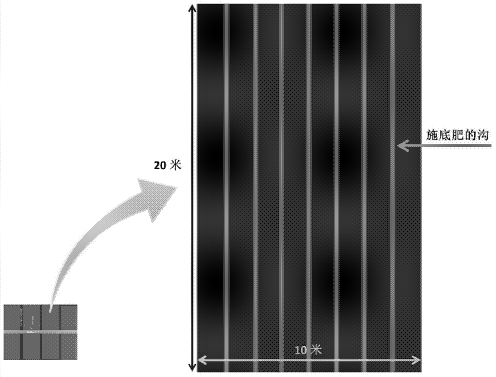 Method for ecological afforestation of coastal saline-alkali areas and/or mud flat saline-alkali areas by means of original soil cultivation