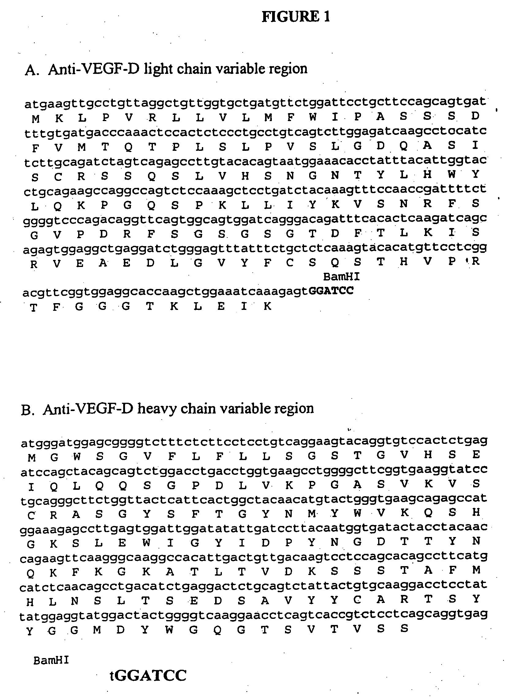 Chimeric anti-VEGF-D antibodies and humanized anti-VEGF-D antibodies and methods of using same