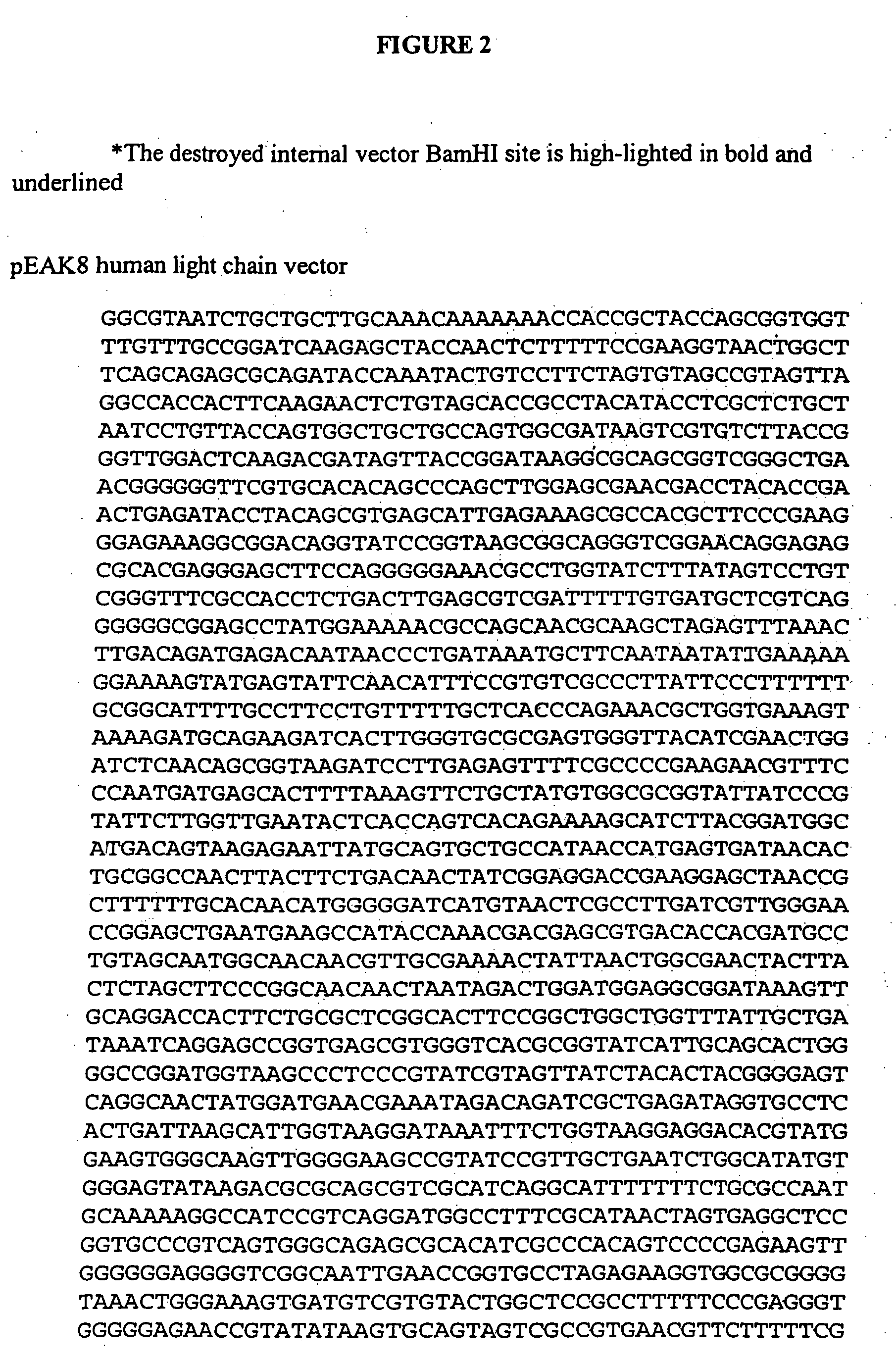 Chimeric anti-VEGF-D antibodies and humanized anti-VEGF-D antibodies and methods of using same