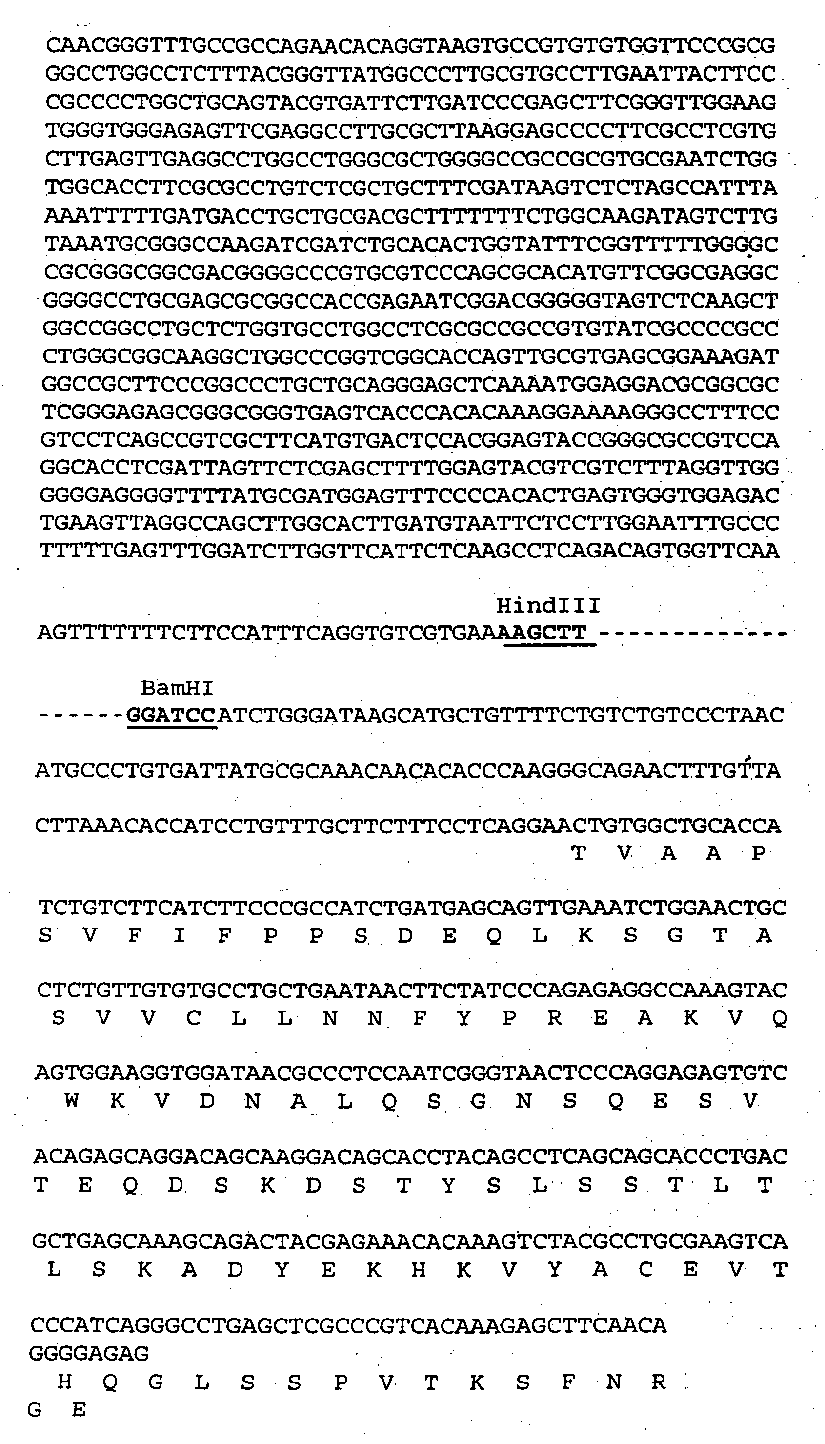 Chimeric anti-VEGF-D antibodies and humanized anti-VEGF-D antibodies and methods of using same