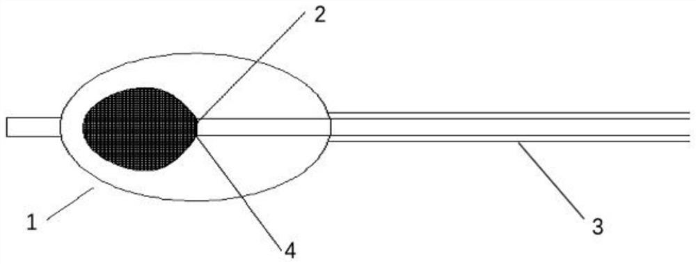 Centrum dilatation device and use method