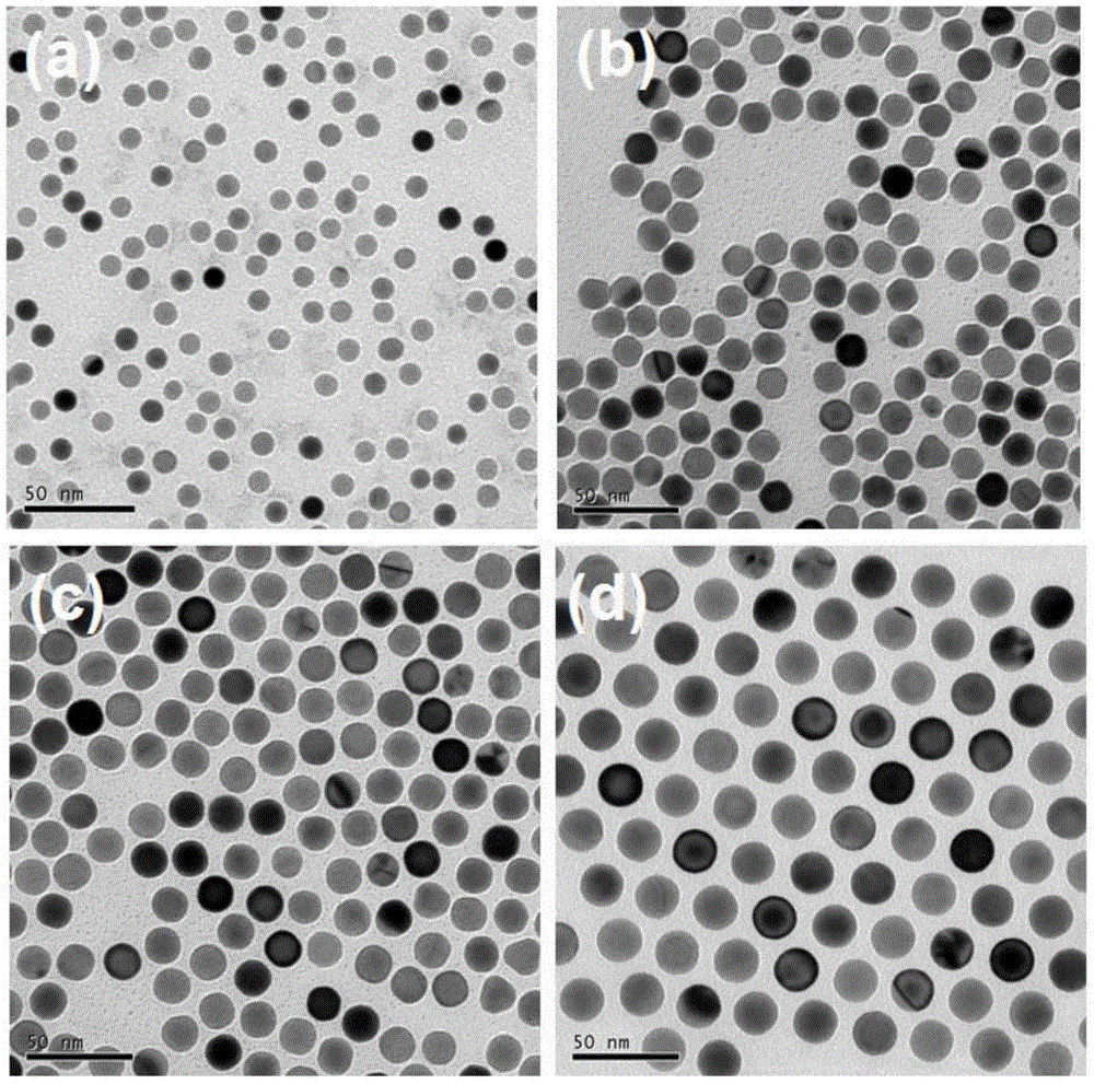 Spheroidal gold particle and step-by-step rapid synthesis method thereof