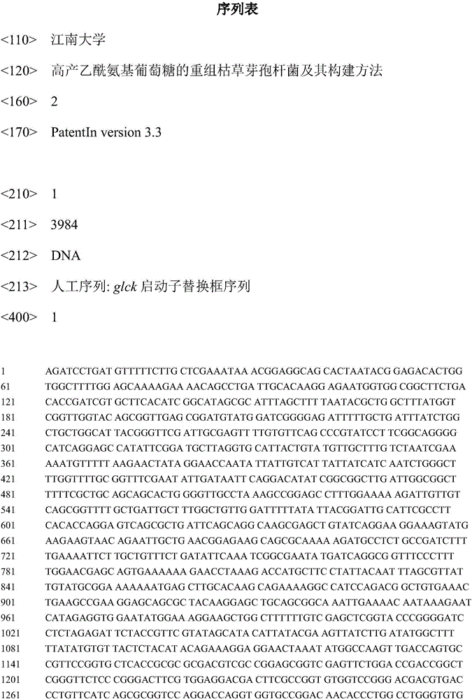 High-yield acetyl-glucosamine recombinant bacillus subtilis and construction method thereof