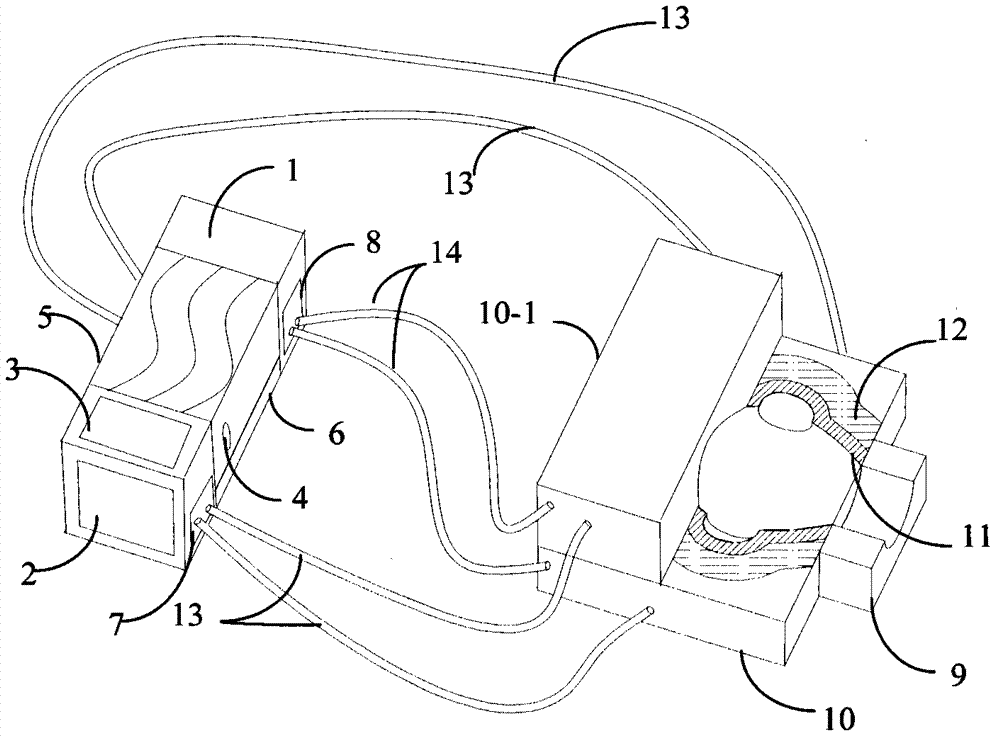 Medical use head cooling device