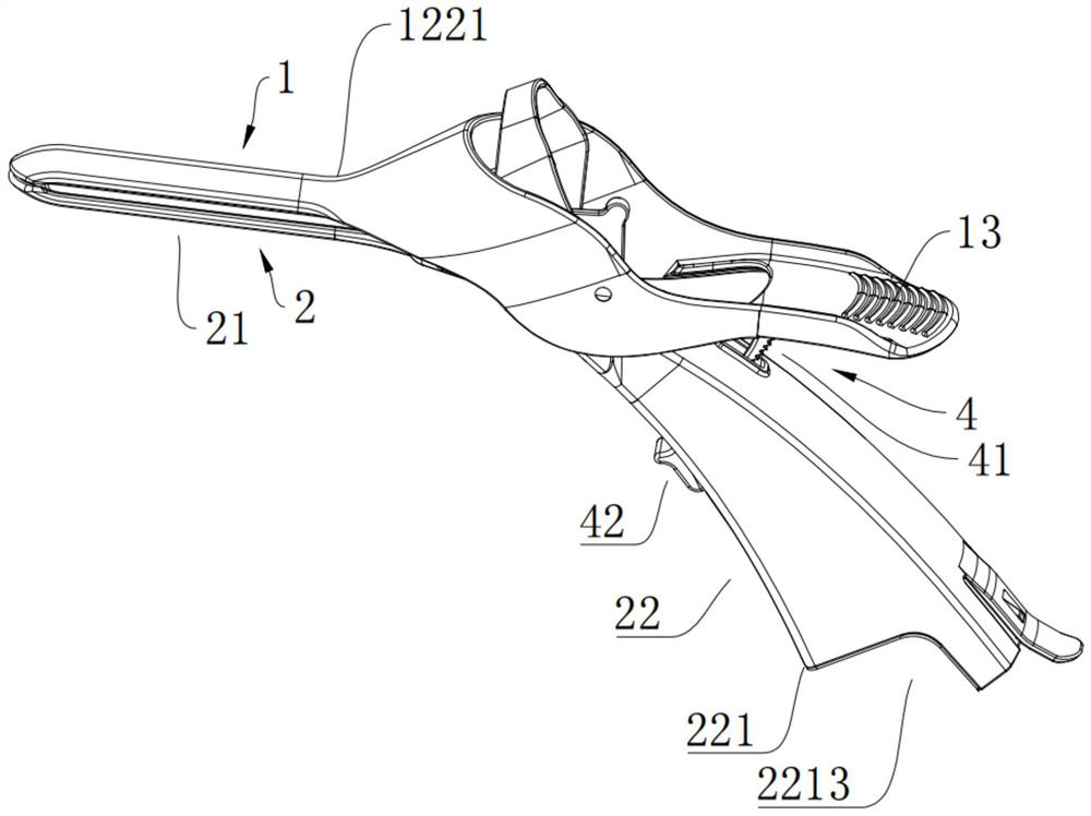 Four-wing vaginal dilator