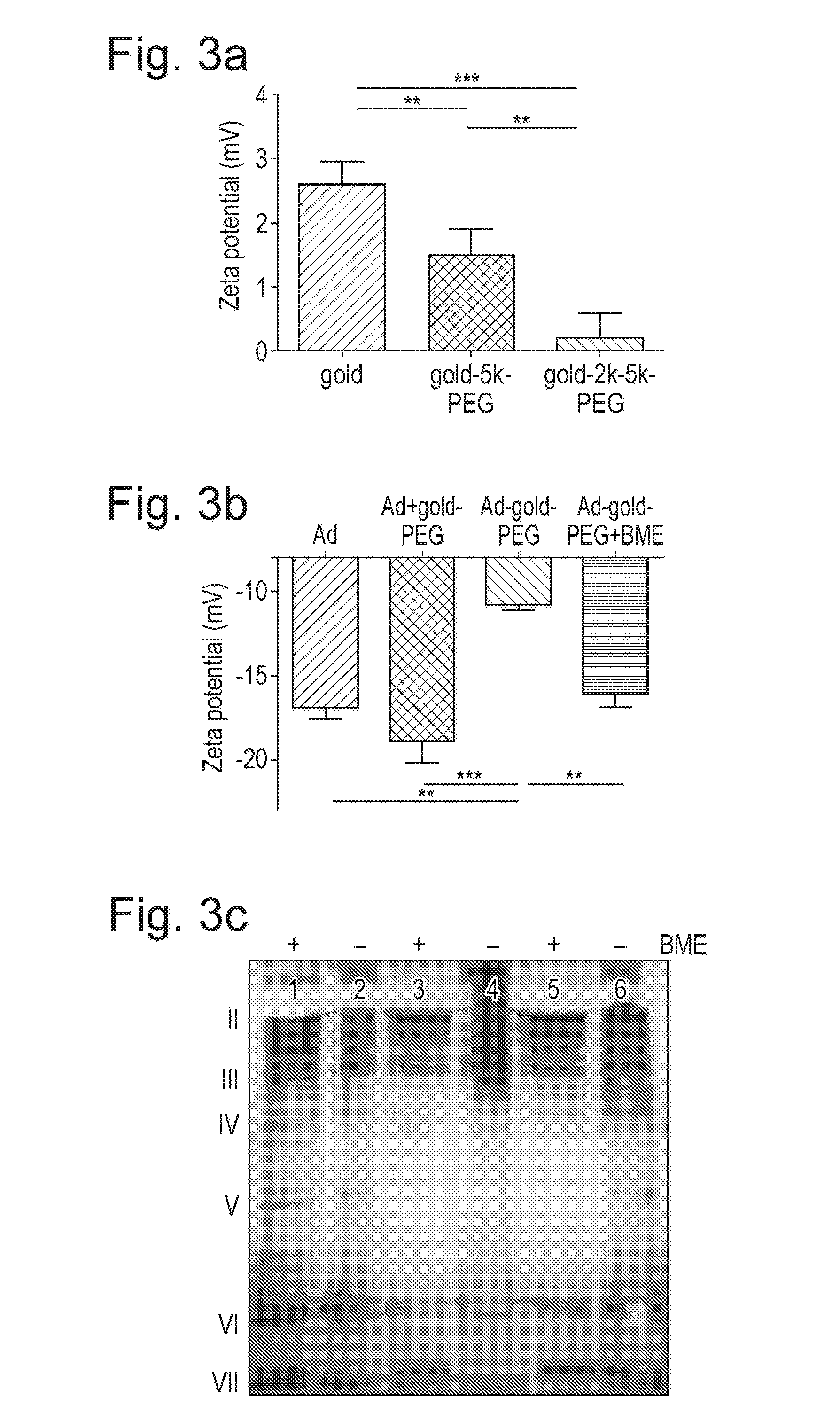 Shielded biologic therapeutic