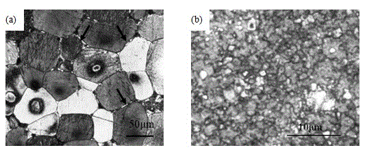 Degradable, high-toughness and ultrafine-grained magnesium-zinc rare earth alloy used for bone fixation and method for preparing same