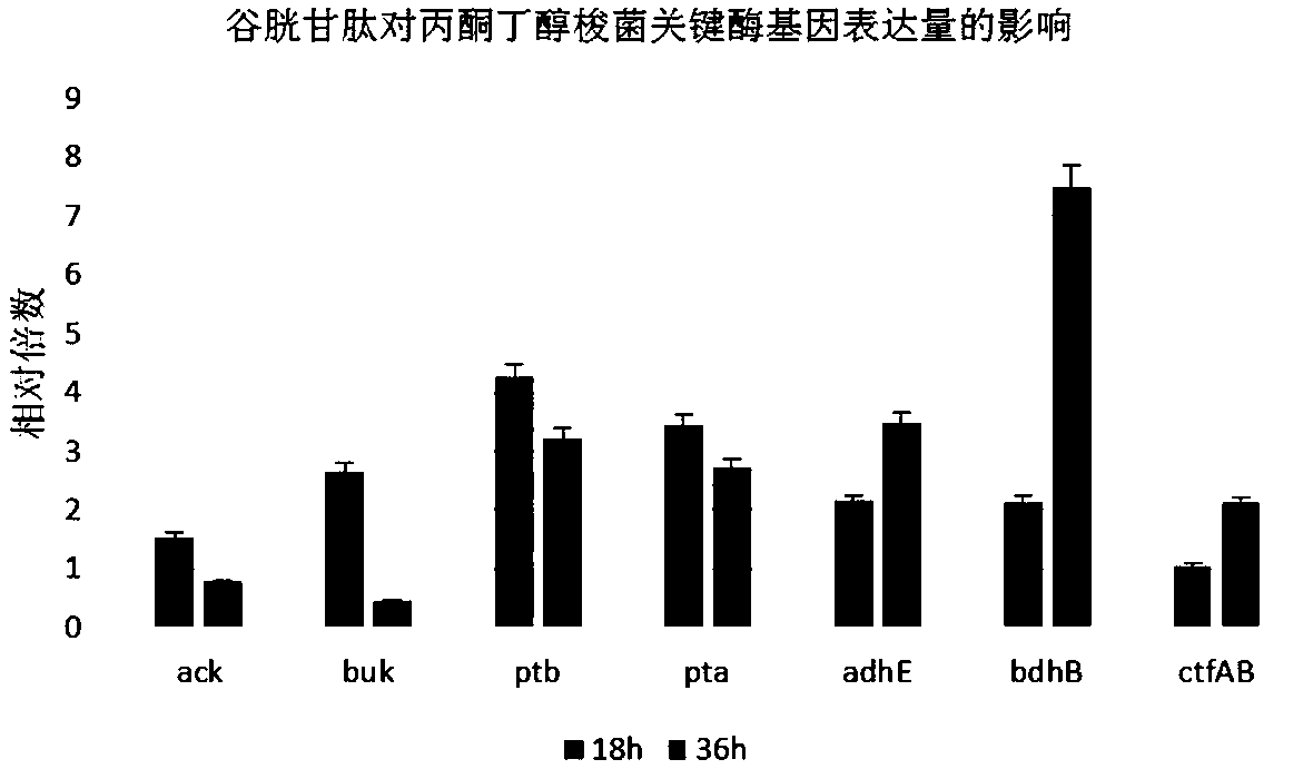 Method for producing acetone-ethanol-butanol (ABE) by fermentation with straw hydrolysate as raw material