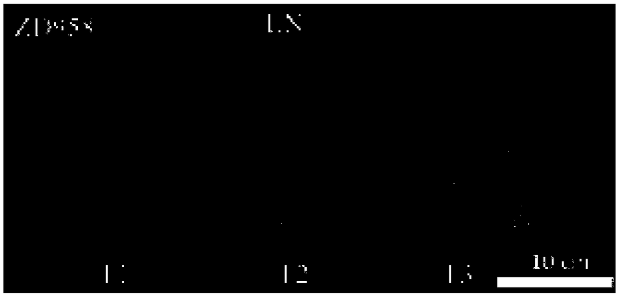 Amino acid liquid fertilizer and application thereof in corn planting