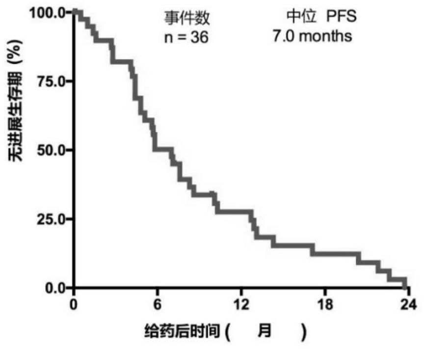 Application of pharmaceutical composition containing anti-PD-1 antibody in preparation of drugs for treating advanced non-small cell lung cancer