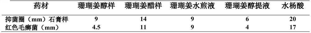 Preparation method of zingiber corallinum hance fermentation liquor and product and application thereof