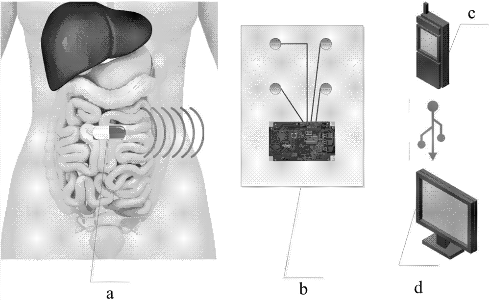 Power capsule real-time positioning method based on permanent magnet