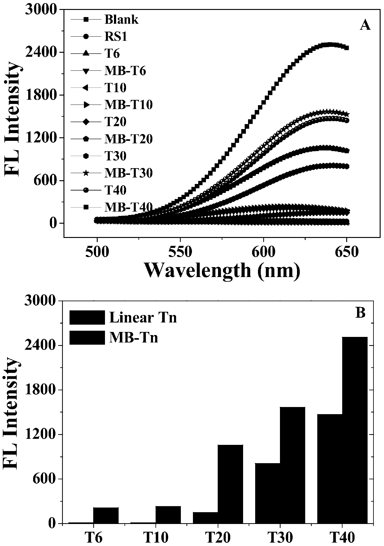 Hairpin-like DNA Templates of Fluorescent Copper Nanoclusters and Their Applications