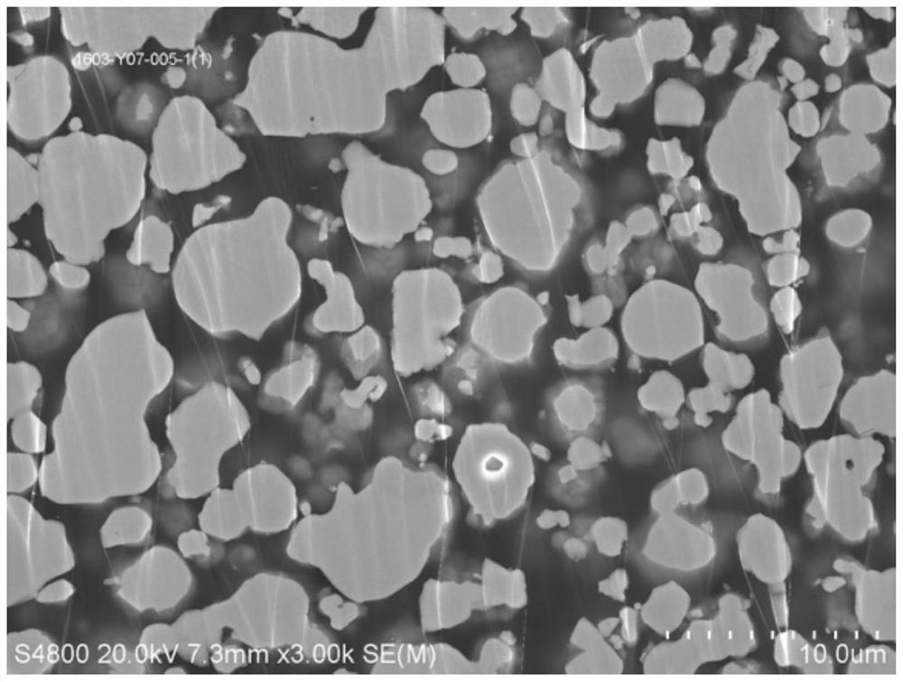 Analysis method for internal holes of powder particles