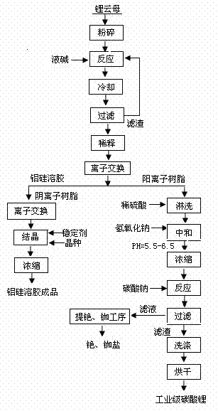 Method for extracting lithium by processing lepidolite through alkali dissolution process