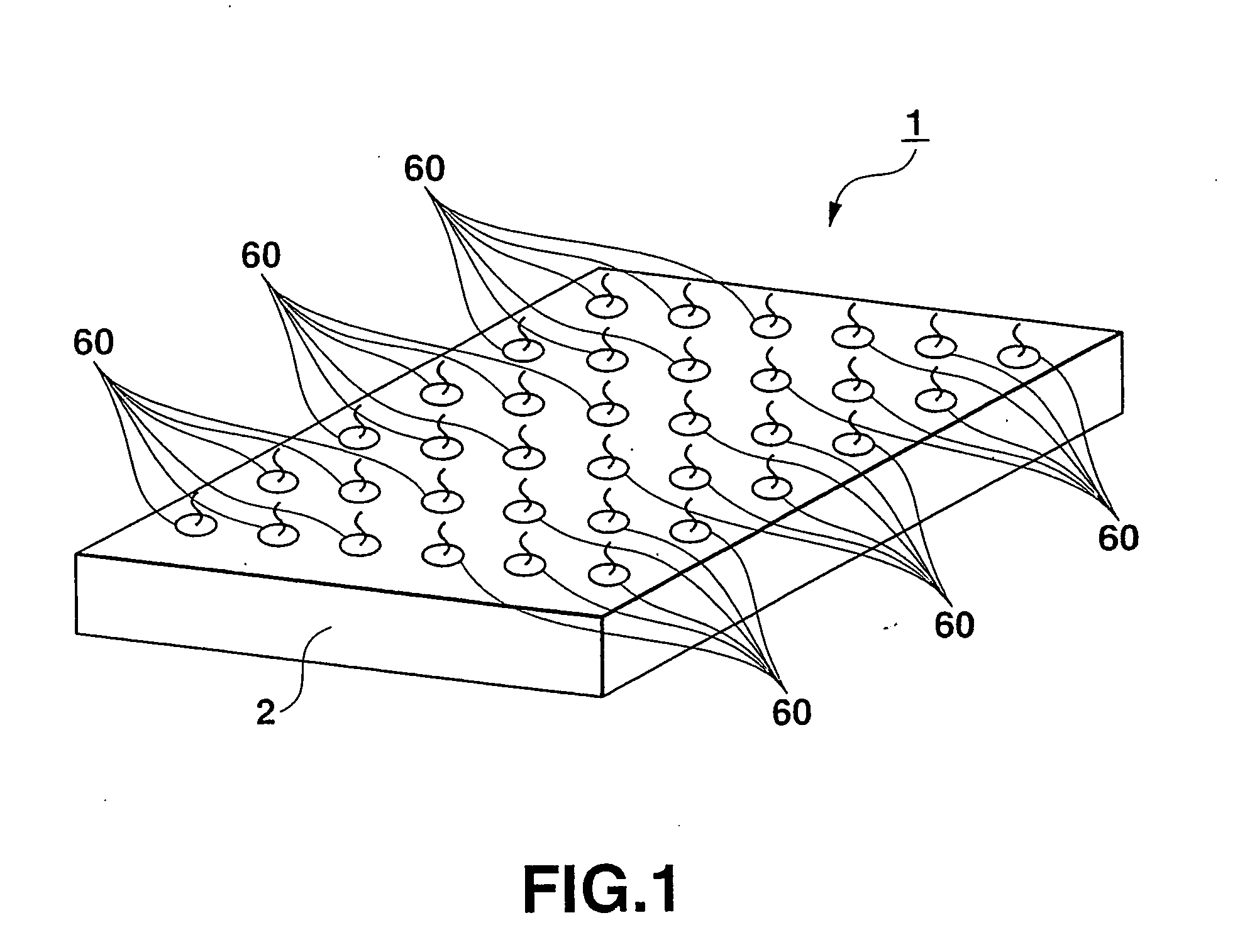 Optical dna sensor, dna reading apparatus, identification method of dna and manufacturing method of optical dna sensor