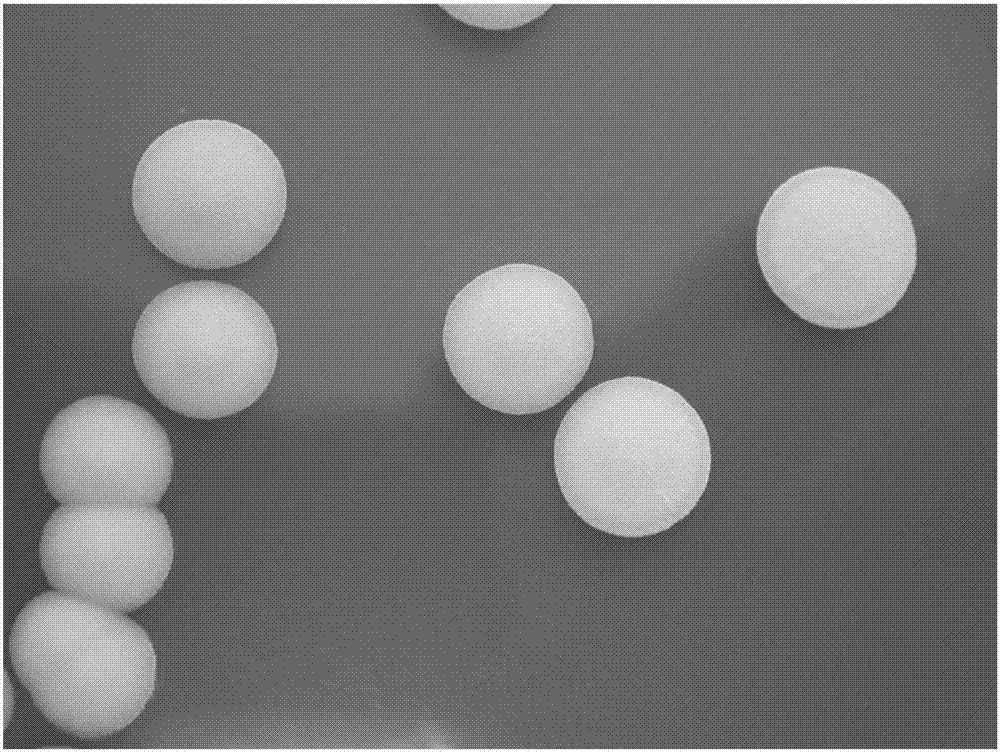 Lactic acid-tolerant ester-producing pichia pastoris