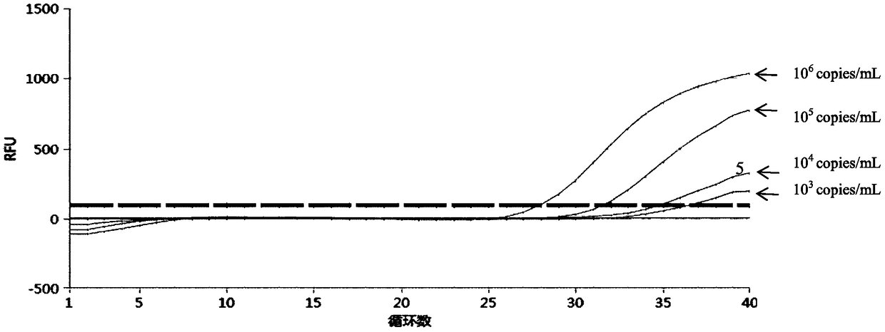 Genital tract pathogen nucleic acid detection kit