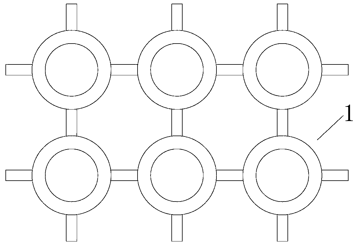 Manufacture method of raman spectrum test piece and raman spectrum test method