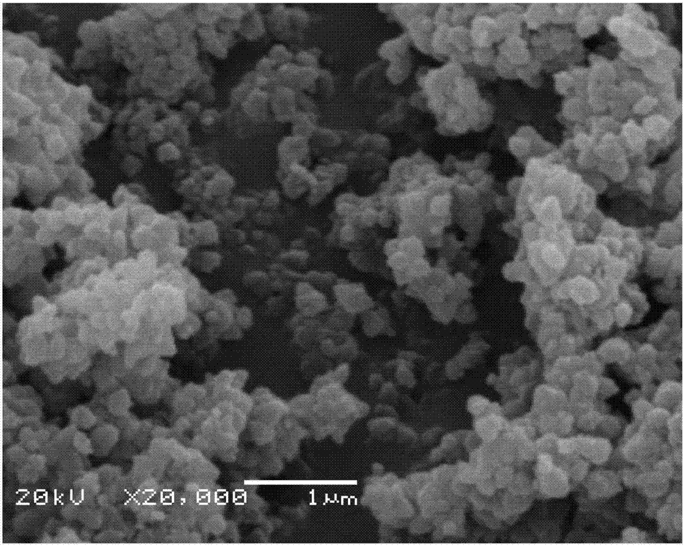 Preparation method of polytetrafluoroethylene hollow fiber composite film