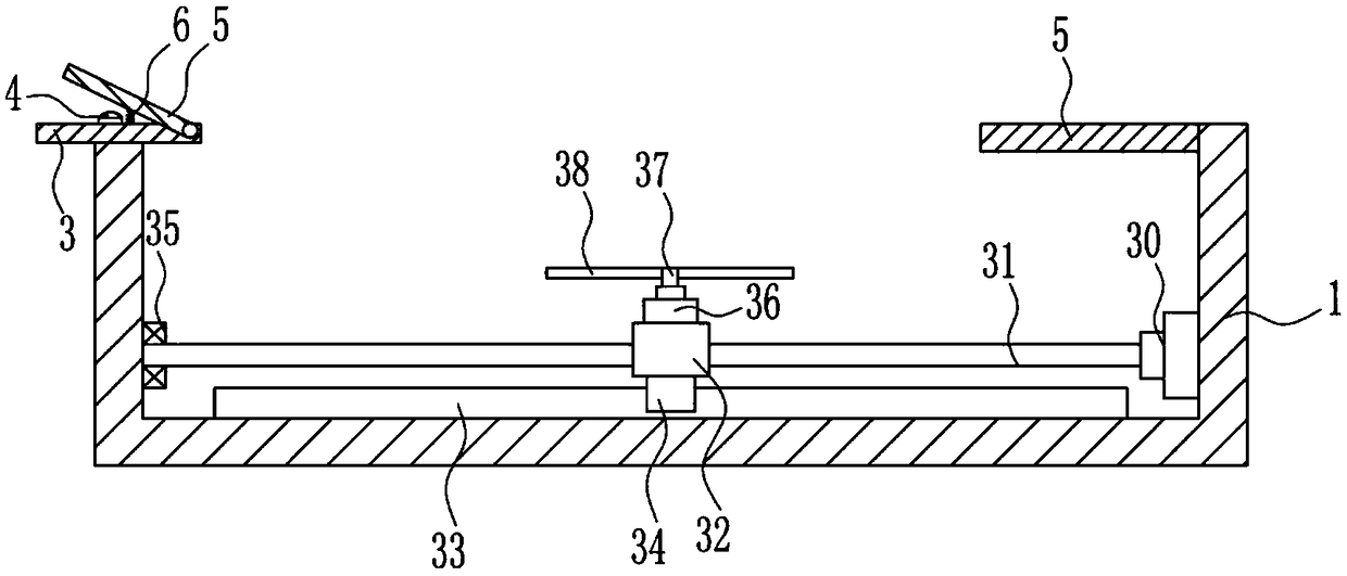 Shoe sole dust removal device for air passenger