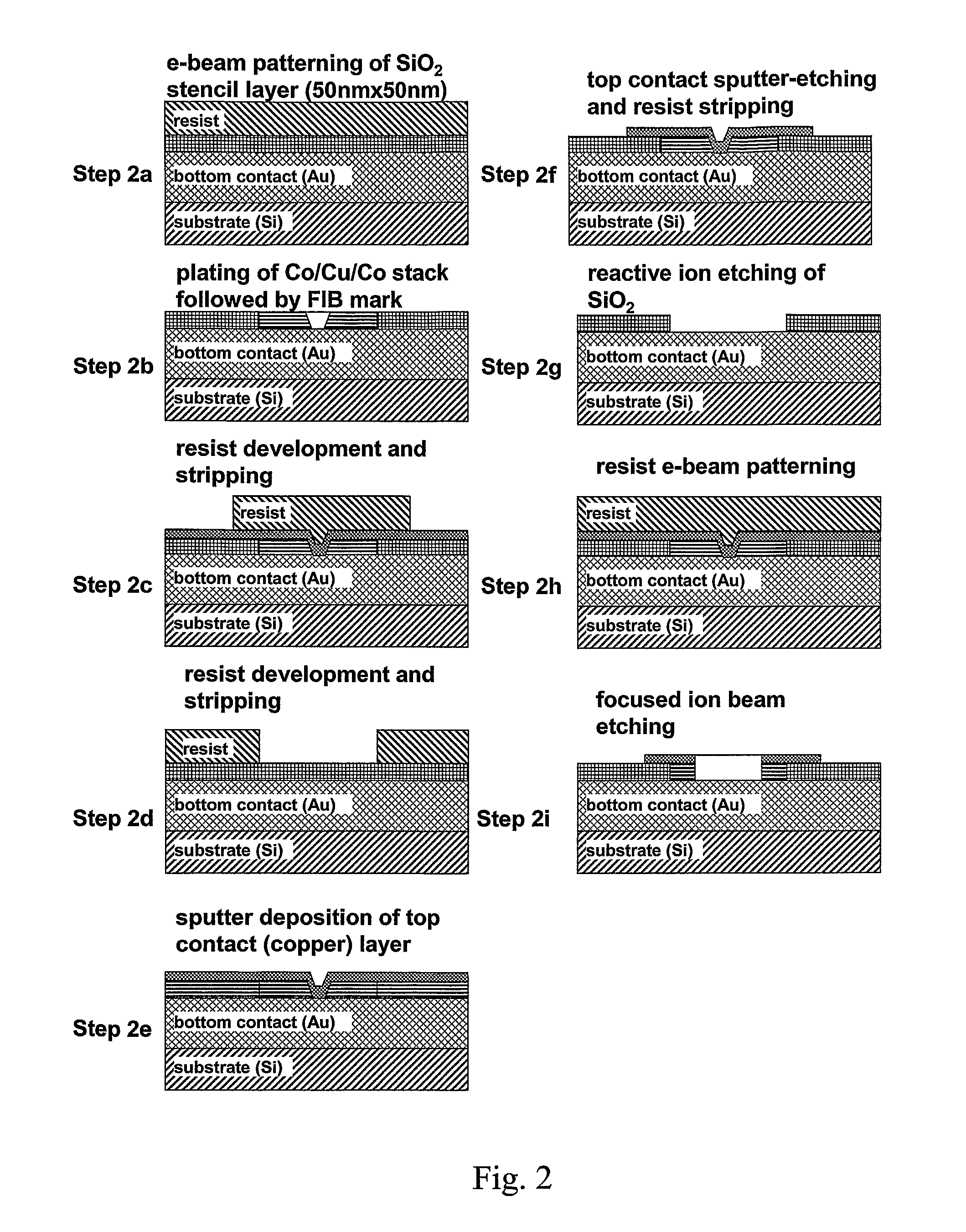 Nanomagnetic detector array for biomolecular recognition