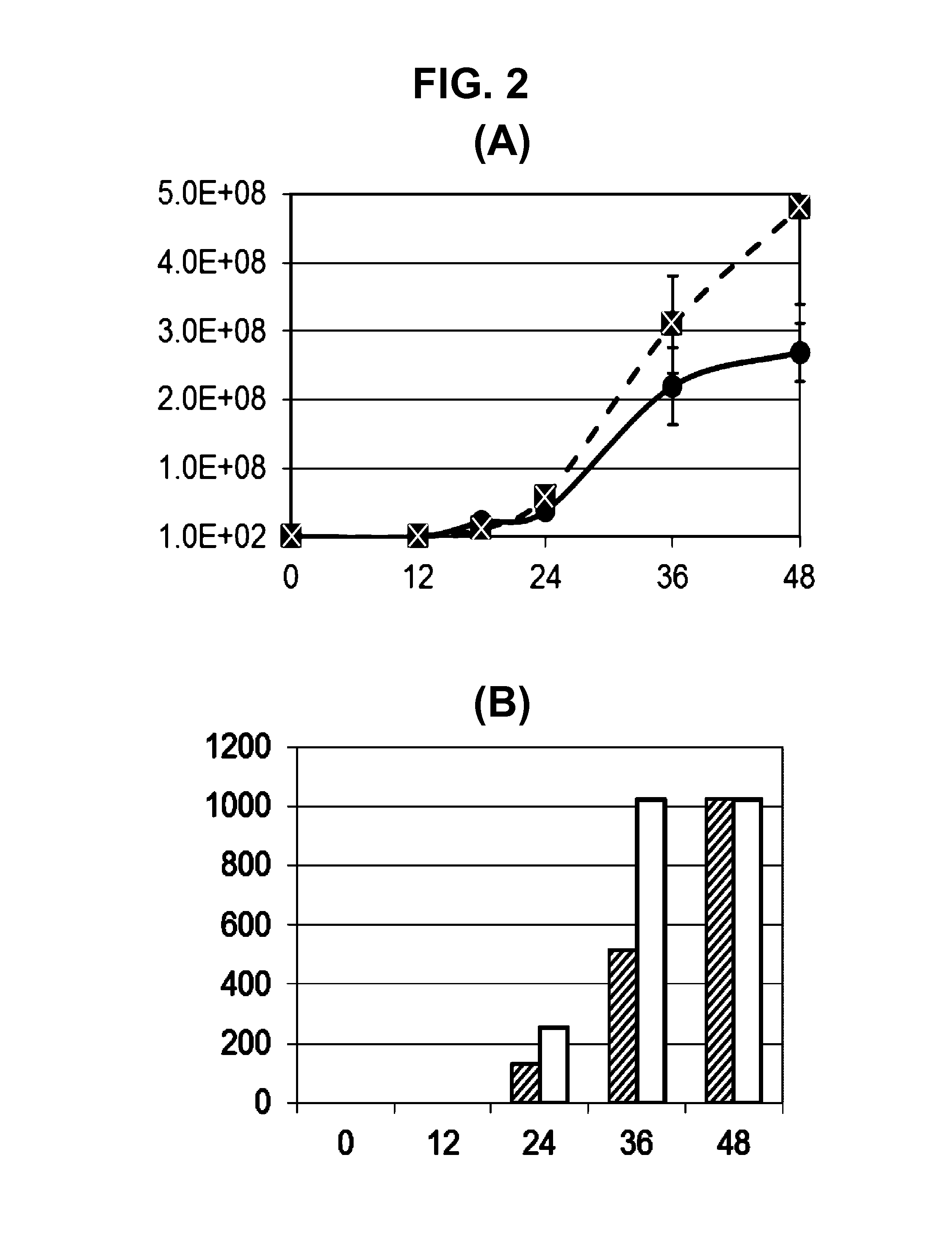 Influenza virus reassortment