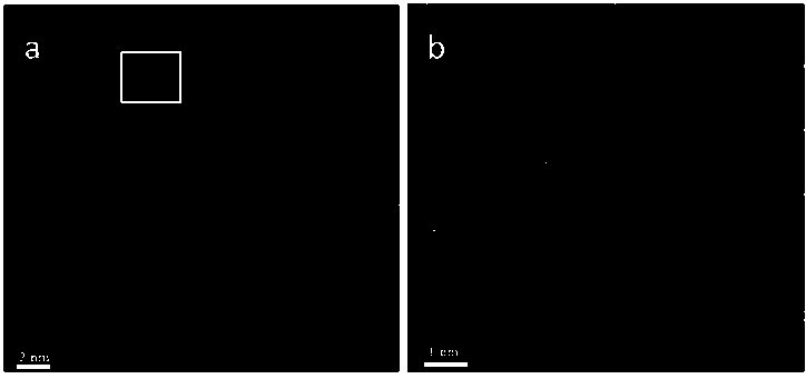 Monoatomic dispersed MXene materials and applications in lithium battery negative electrodes