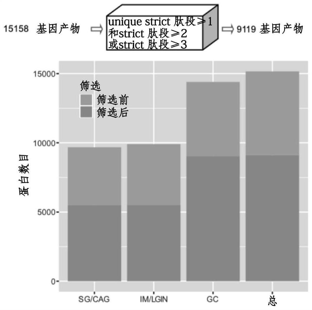 Gastric mucosa lesion protein molecular typing, lesion progression and gastric cancer related protein marker and method for predicting lesion progression risk