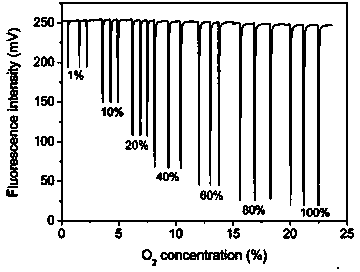 Double-optical-fiber oxygen sensor