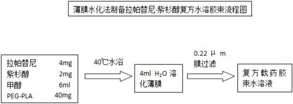 Amphipathic segmented copolymer micelle compound drug loading and delivery system and preparation method of brain-targeted water-soluble micelle