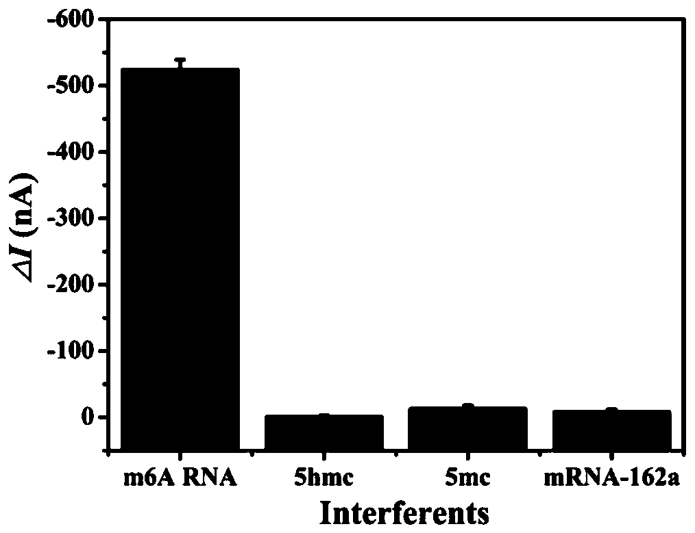 Photoelectrochemical sensor for detecting methylated RNA and detection method thereof