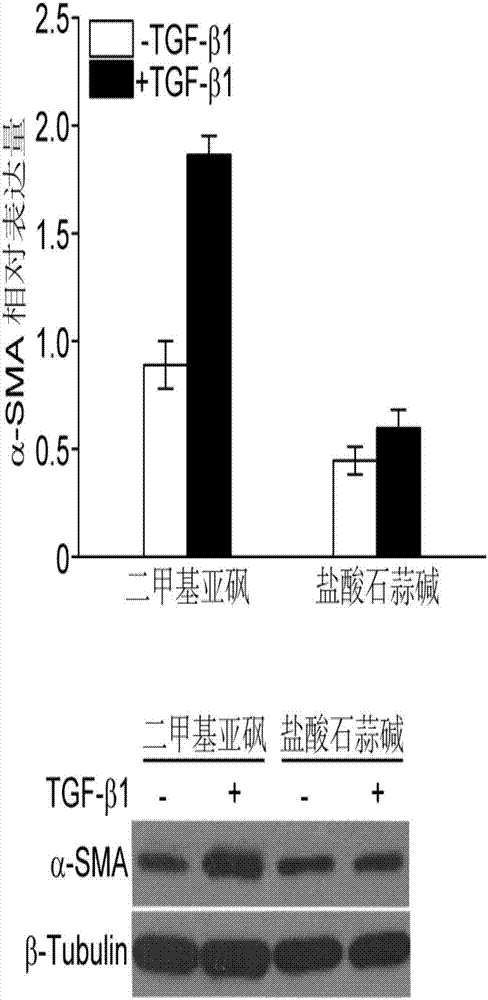 Application of lycorine hydrochloride in treatment of pulmonary fibrosis