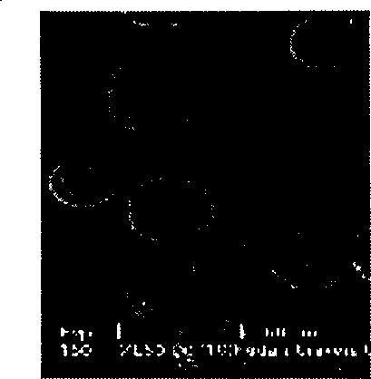 Prepn of nano zeolite molecular sieve assembly for affinity separation of protein molecules