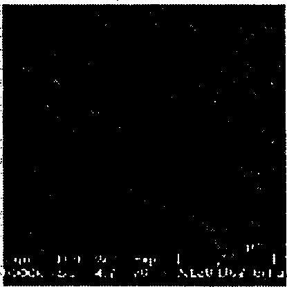 Prepn of nano zeolite molecular sieve assembly for affinity separation of protein molecules