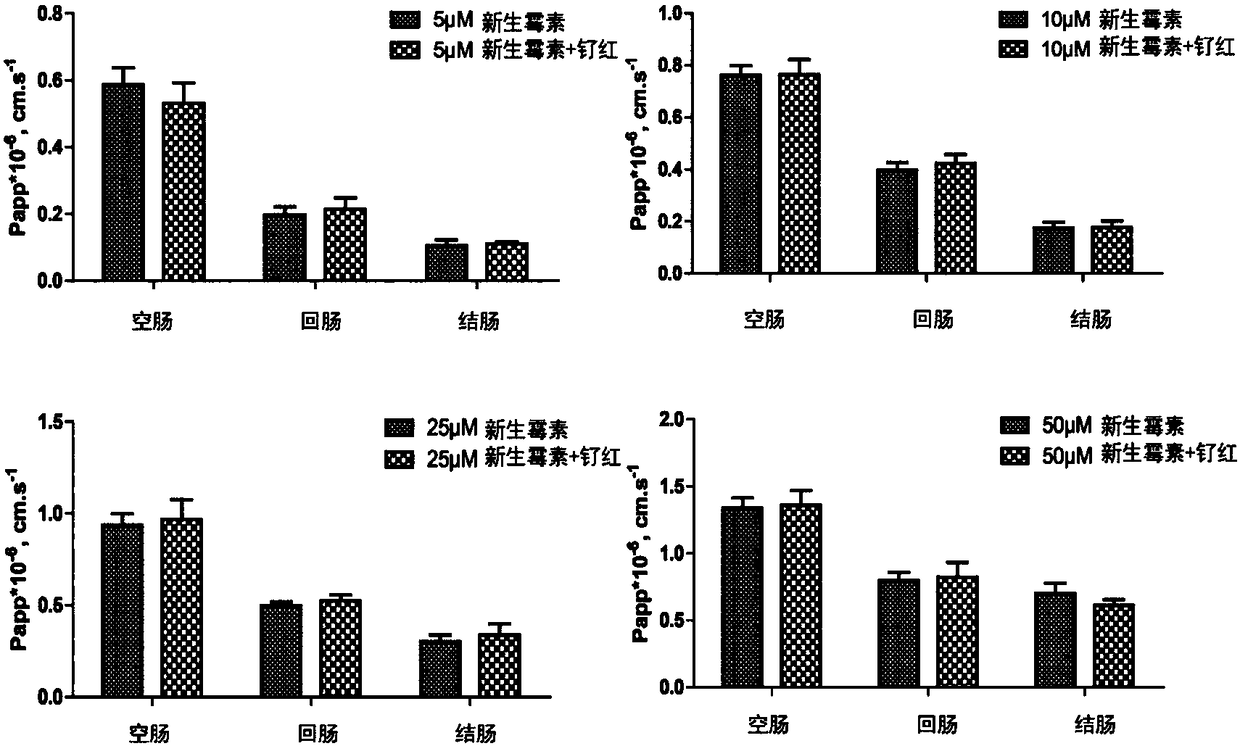 Application of novobiocin in preparation of drug with function of inhibiting TRPV1 (transient receptor potential cation channel, subfamily V, member 1) expression and transfer