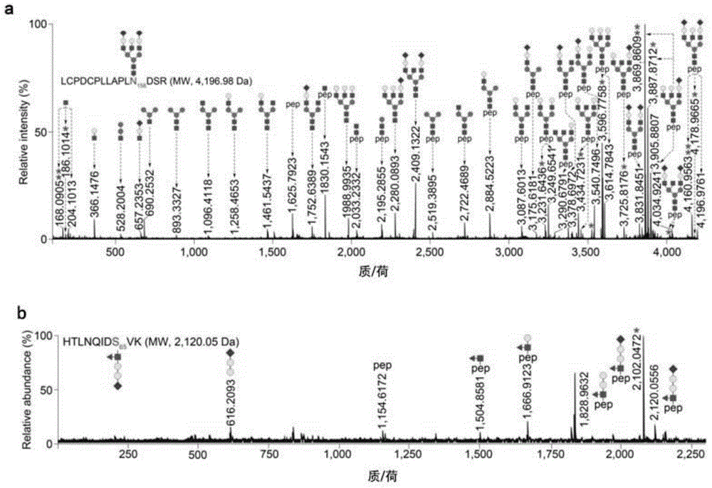 Method for enriching sialylaglycopeptide, sialylated glycans or sialylated glycoside