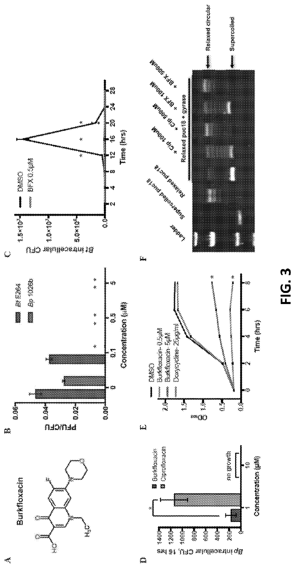 Discovery of novel Anti-infectives for gram negative pathogens