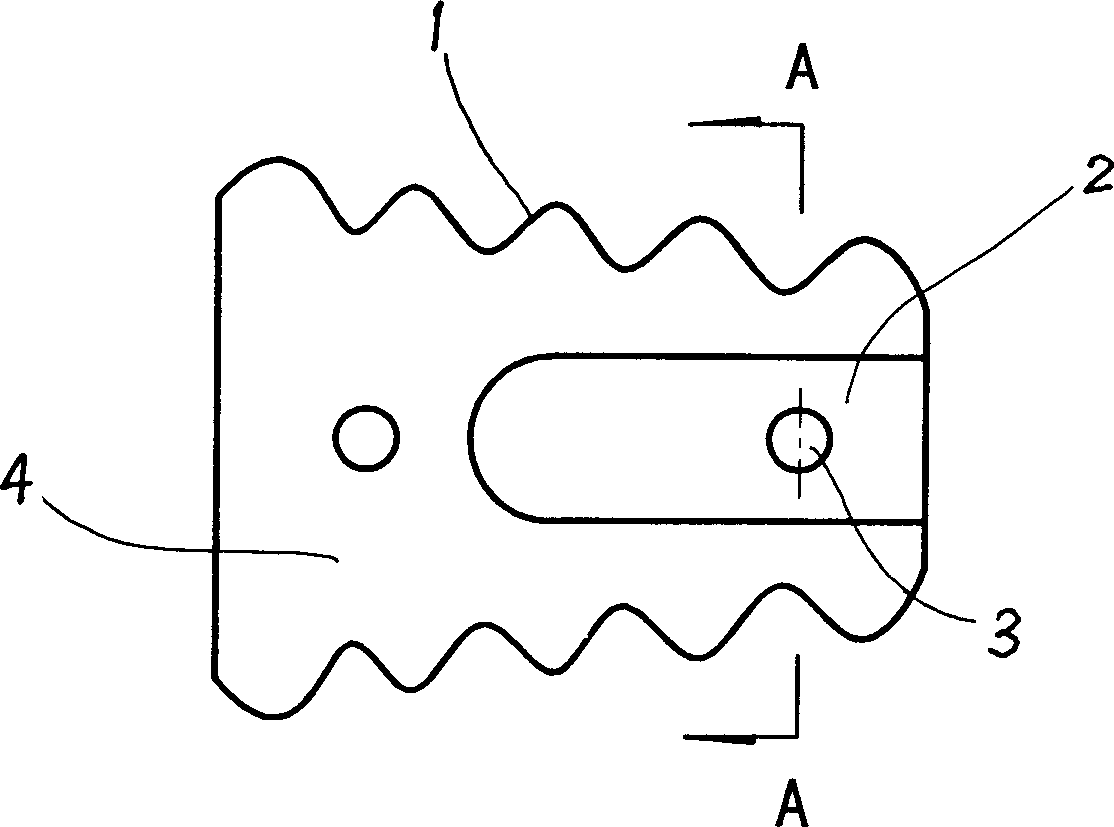 Fixing fusion device for vertebral bodies of lumbar