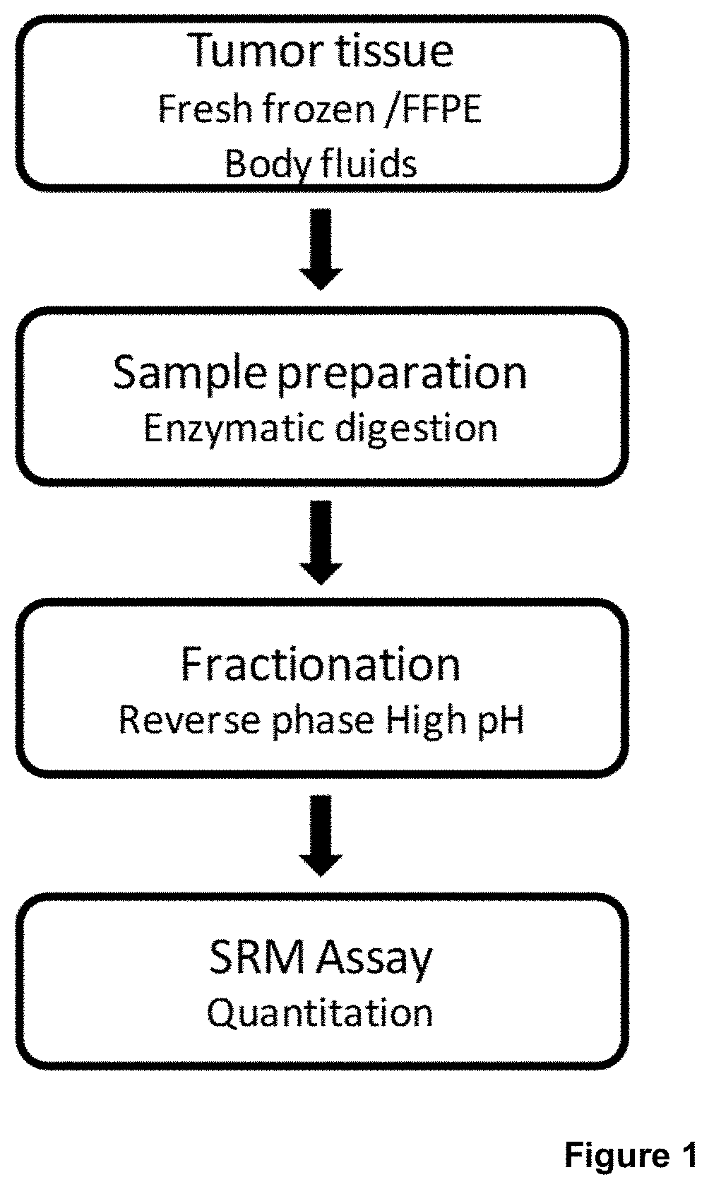 Method to determine braf mutations and wild type braf protein by mass spectrometry