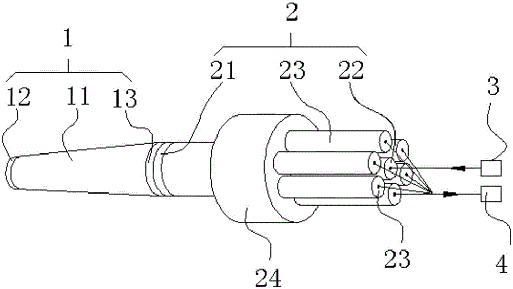 Optical fiber detection device for biological detection